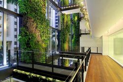 Dapenso Building (D1), Office #566713761